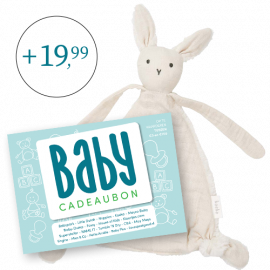 Babycadeaubon blauw met knuffel