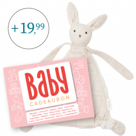 Babycadeaubon roze met knuffel